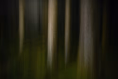 Item #72639390708267126639436568569652760193401123475841185469851730333519585476609 Media