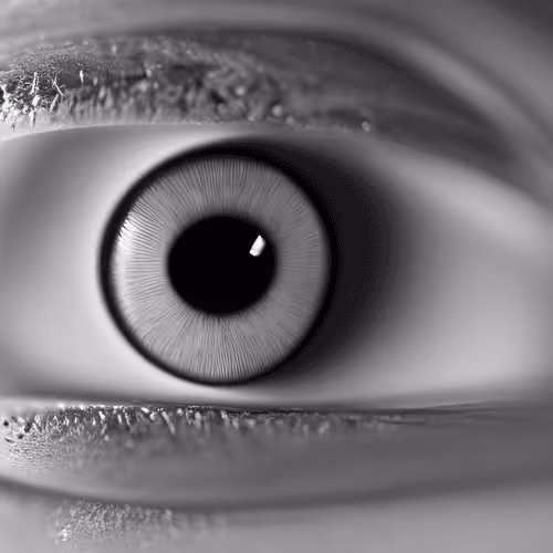 Item #89977615672538999033594331865246759894296981299648092904575344670253716078593 Media