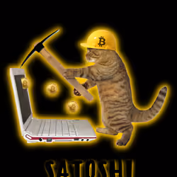 Miner Satoshi #1 of 1