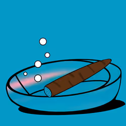 64906981999387913361697985844312441701833576398490256579203190381053332160513