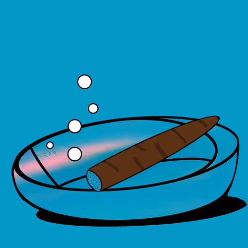 64906981999387913361697985844312441701833576398490256579203190381053332160513