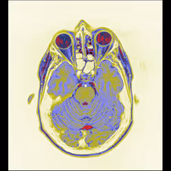 64162533542198579898252916190583583845604629893829087458582976161407901368321