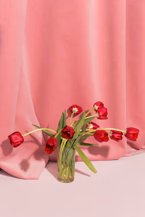 Item #59322478505562103206943834534959149649327924503749093433269056268304440623105 Media