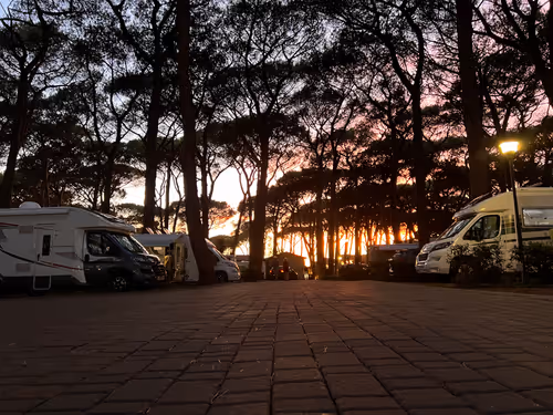 Item #106962716921335990762713992472161684452961633480742312471954214599720091779073 Media