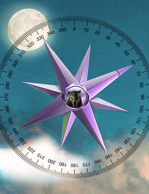 Item #54252931850304595306690029082721201445978313250689431385278468121170571952129 Media