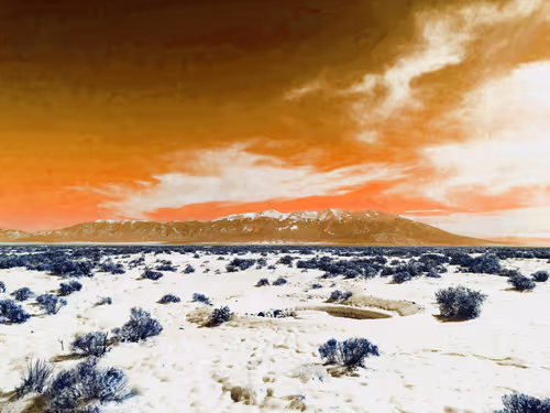 Item #67457553150443021914092587022250176347061355639032054621716076089409026392065 Media