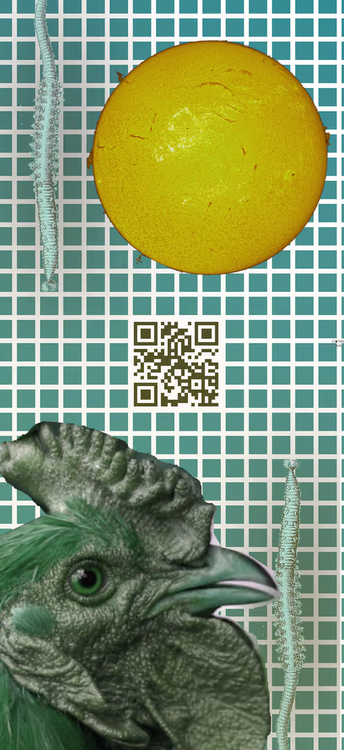 Item #91754164606506966575596469571565985485613429950187136926502423105697923203073 Media