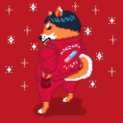 The Sparkling Shibas Yard