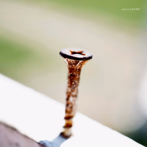 Item #103339499658907074455911852821514679659062129792359254936295356905000758411265 Media