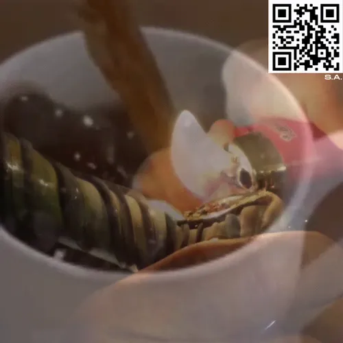 61089433673675855013240100592429788426200334601701735580530433770798817738753