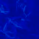 110447126717269959114651305457987288566157368429336300964585713832866386804737