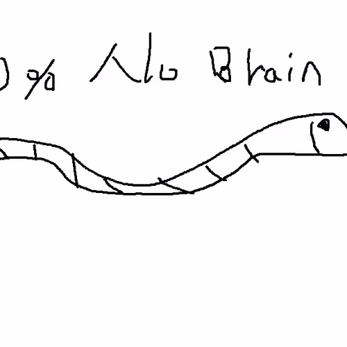 DanielKim_BlockPatch Collection