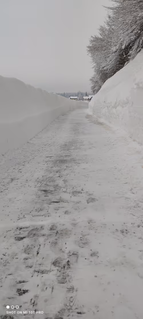 Item #88353325740892022603979579663228138712443640373110526023367119863536209100801 Media