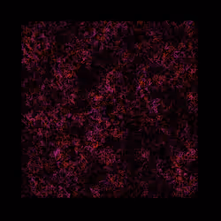 12032733712256437664215437925069129638151898554142308319368358857566008115201