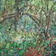 Jungle-Injury Nature invasion from plasticgo