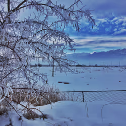 99336931045118591179229277563364267631006438606699611254274404950612358725633