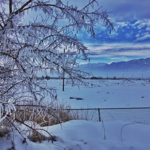 99336931045118591179229277563364267631006438606699611254274404950612358725633