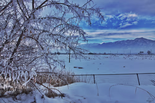 Item #99336931045118591179229277563364267631006438606699611254274404950612358725633 Media