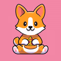 shiba inu #47