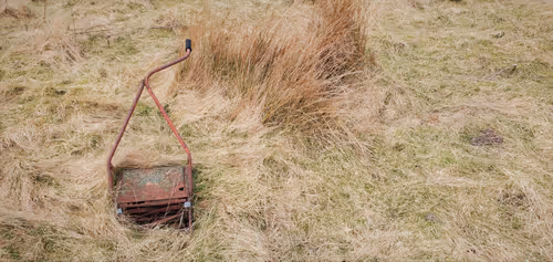 Item #13473500973687785898796463285955460631407349614781281766798596465125436162049 Media