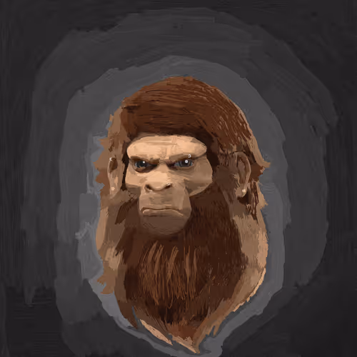 Maclaren-Anivia Collection