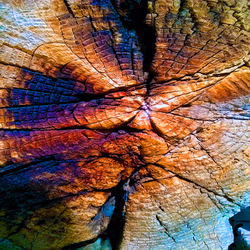 Item #20809941671632605873525939568920300114298455331272599101238496773546499375114 Media