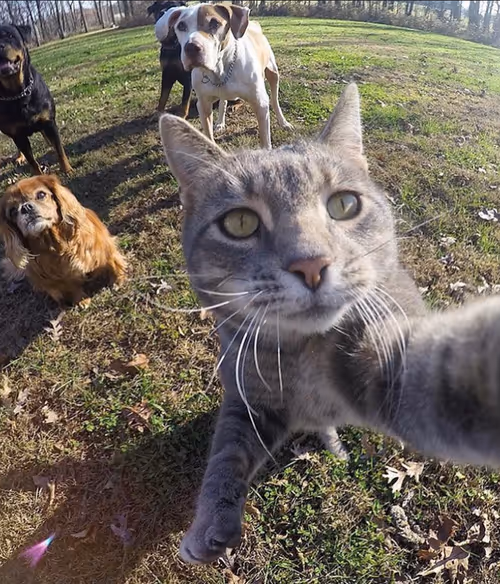 Item #12432533090897662026869168976523784185628976291471842491353891645634807595009 Media