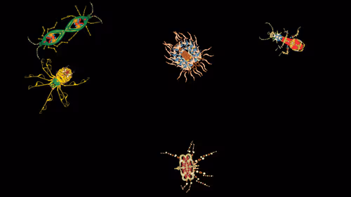 Item #53242888669140524195561622833454819219639280039583693387159593392417743568897 Media