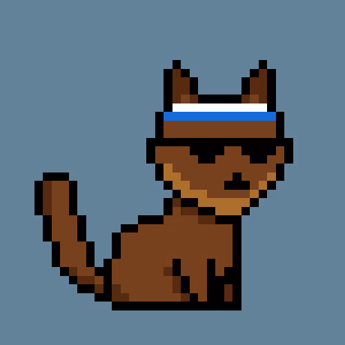 PunkCat #1019