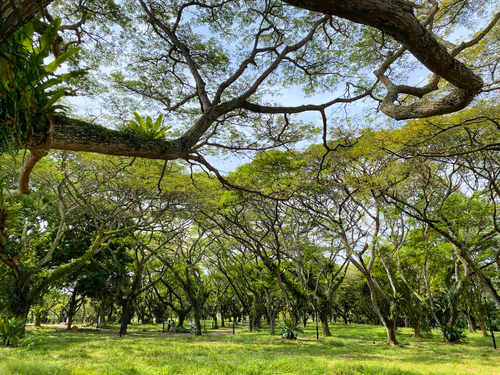 Item #67662486965801570875622594148752141017437669699279110644529844189584343171073 Media