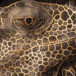 Tales of the Golden Lizard