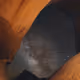 23760809840351914961201830554258659465021007898859110668739645542856262680577