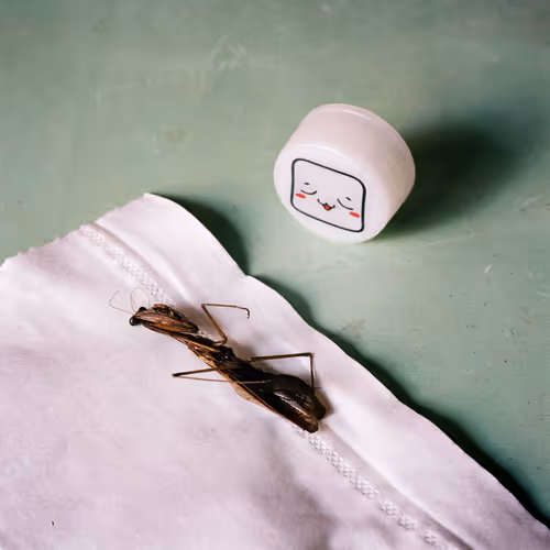 Item #85458083059713581969125119633380257901929151891311293753618595533500396339201 Media