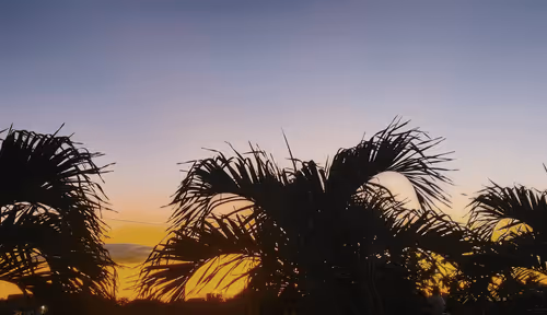 Puerto Rico Projects