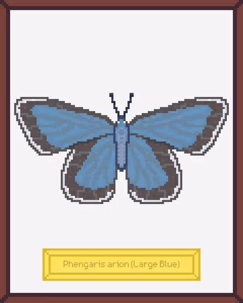 Item #99944933364211782028652678854730295040838579789766917923662069198444300337153 Media