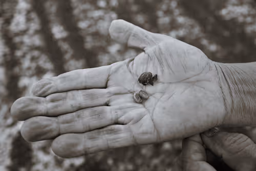 Item #63564870946985135886813841758928260740997425231874414062231035174974096670721 Media