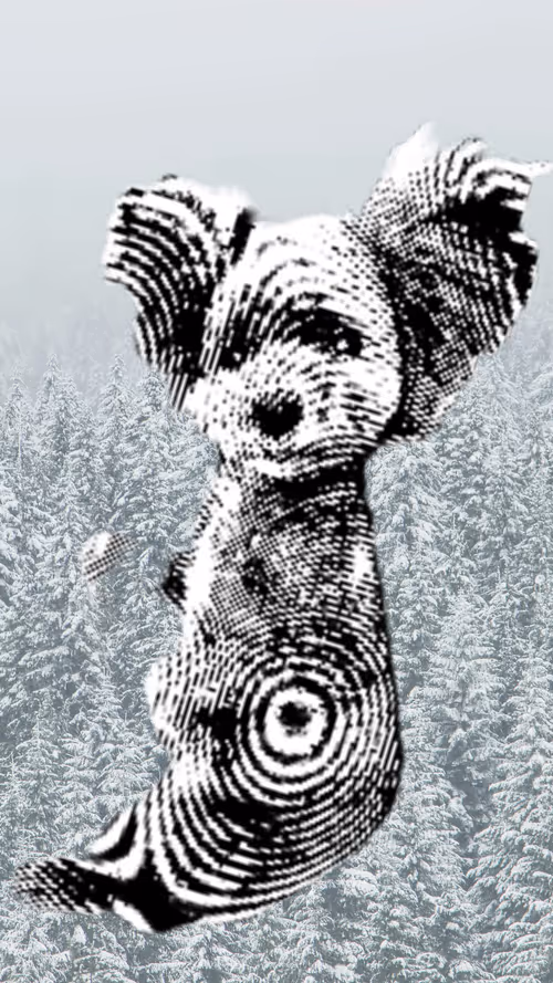 Item #50435629414903080732398685353811858649064922584428316907703266711348610859018 Media