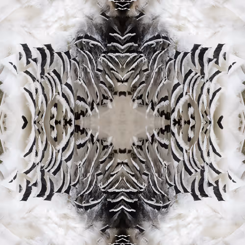 81105408617785080854832733133847922677983221215878817228421569870018436399105