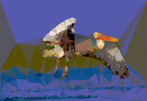 Item #114981805351974490021049017383162112341972842227829762206280093618881832157185 Media