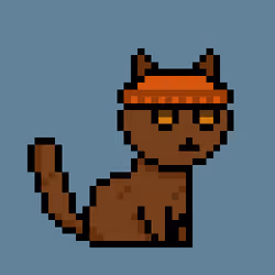 PunkCat #3114