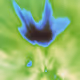 87568977837208876755940390853545731448750324360627110567099572143025068965889