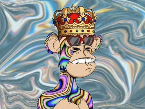 Untitled Collection #122145372