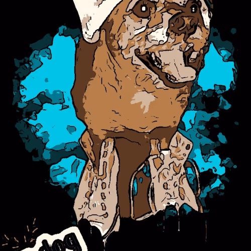 Untitled Collection #76152753