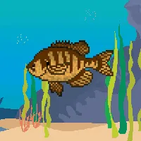 78964944229926021655968168462037545876501657311134209832205588520882157912065