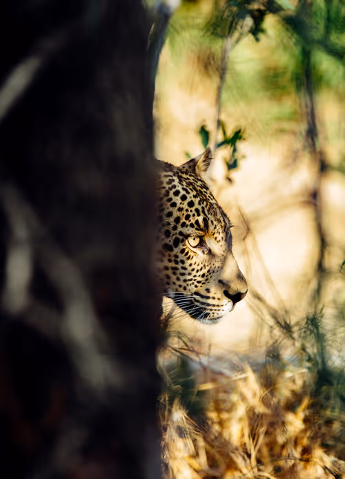 Item #17422369034044695422991299095605542169827651787898495269044350779751955169281 Media