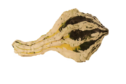 Item #35733408950682889513496686103591328439267245450055177033221291808728742363137 Media