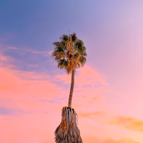 Editions by Jay Croft