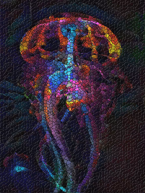 Item #88594890485262363130937128292640152468402435552008908057171574047299896082433 Media