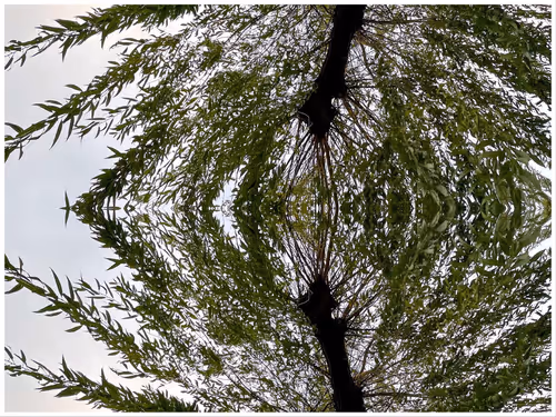 Item #39842122399831876294969041227459341578040195517803177153867578407732947976193 Media