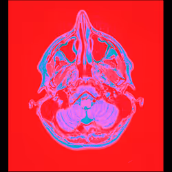 64162533542198579898252916190583583845604629893829087458582975682020831657985